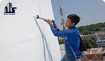 โรยตัวซีลกันรั่ว npnetandpaint