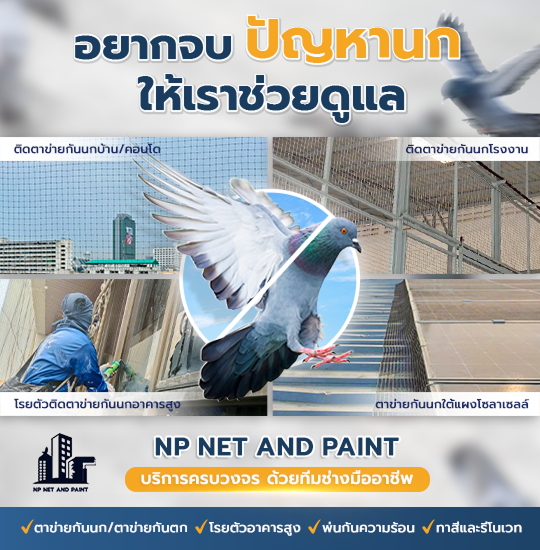 อยากจบปัญหานกให้เราช่วยดูแล npnetandpaint