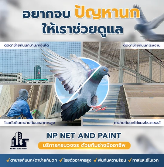 Want to end the bird problem? Let us help take care of it. npnetandpaint