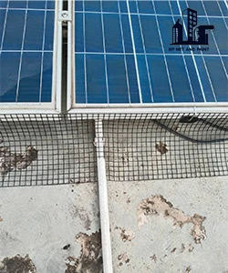 Install bird netting under the solar panels. npnetandpaint