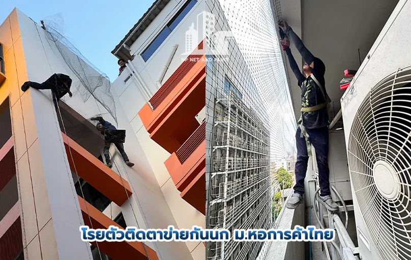 Work - Slide to rappel and install bird netting University of the Thai Chamber of Commerce npnetandpaint